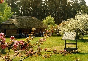 Nefrologų vasaros mokykla 2017