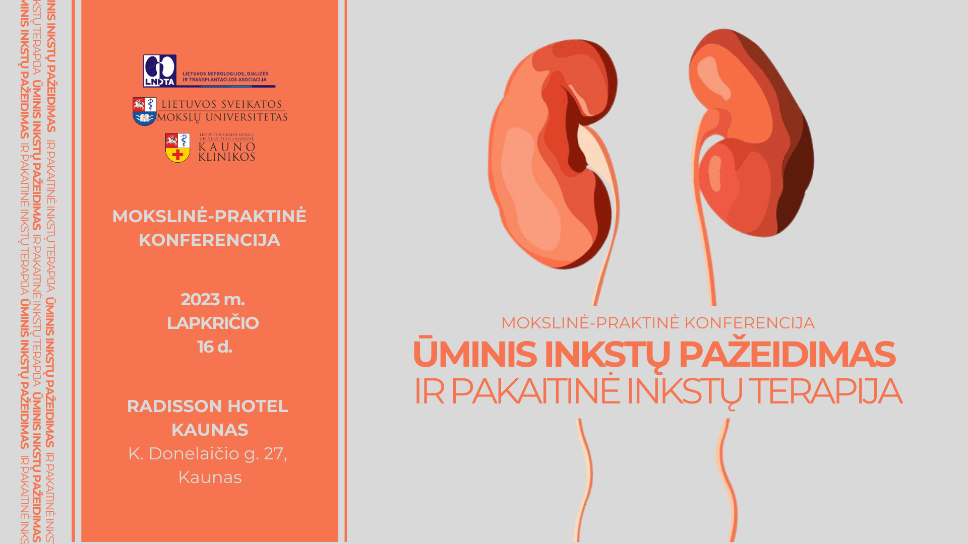 Ūminis inkstų pažeidimas ir pakaitinė inkstų terapija