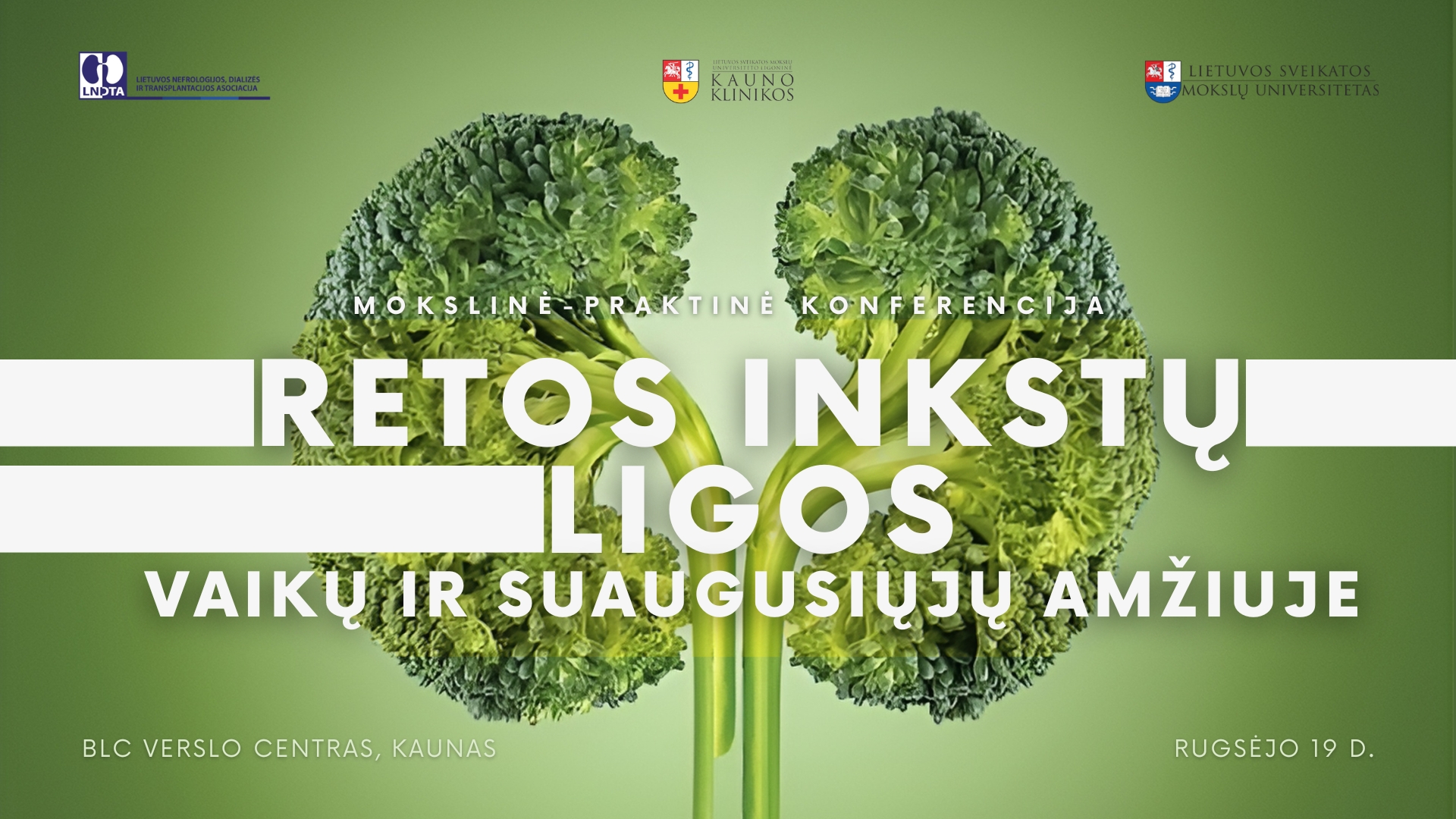 Retos inkstų ligos vaikų ir suaugusiųjų amžiuje